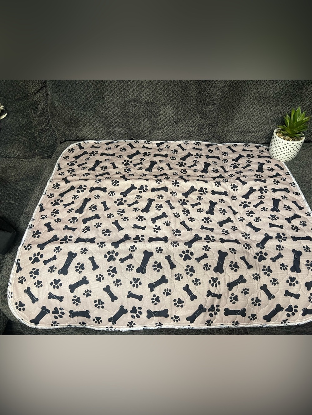 5 NWOT Puppy Pads in Light tan with Black Paw & Bone Print